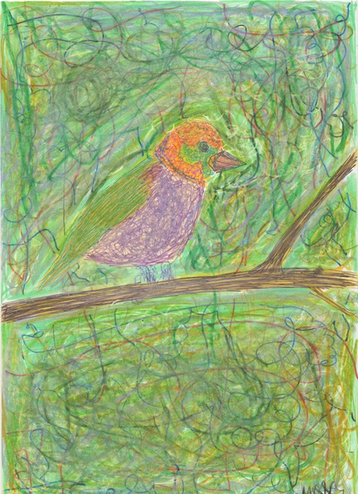 Sparrow
