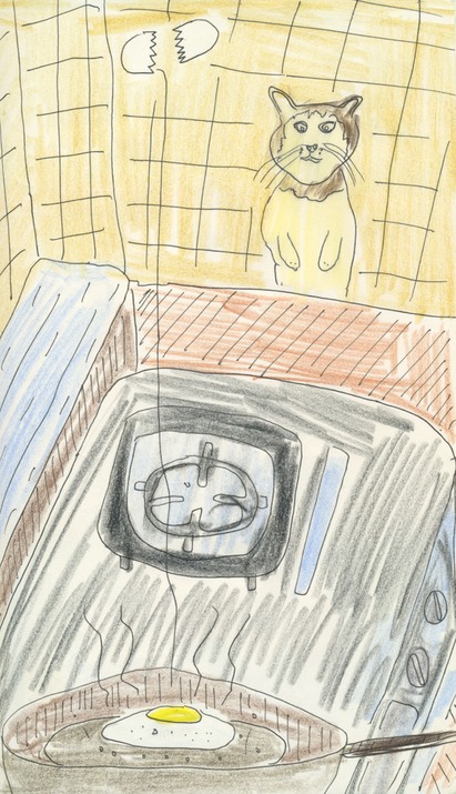 Cat Watching Egg Getting Fried